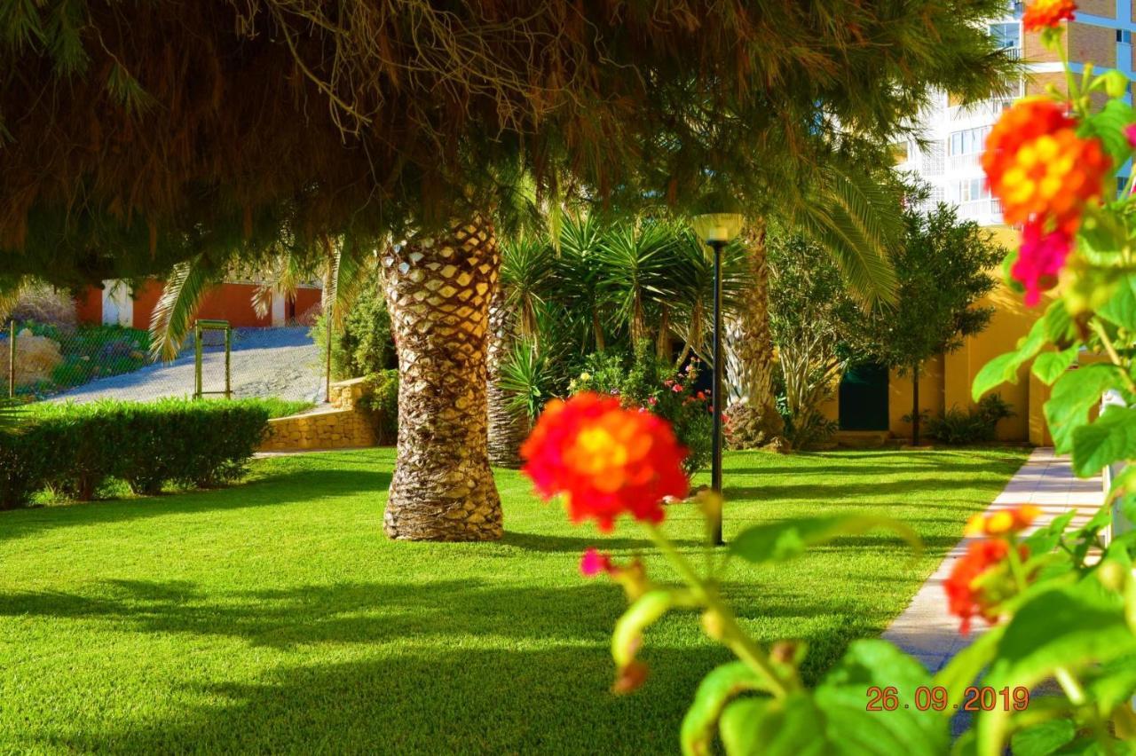 Bungalo En Primera Linea De La Playa エル・カンページョ エクステリア 写真